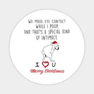 Poodle We Make Eye Contact While I Poop Merry Christmas Magnet